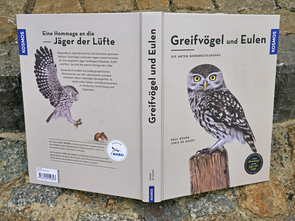 Vorder- und Rückansicht von Greifvögel und Eulen