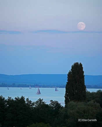 Mondscheinsegeln_am_Balaton