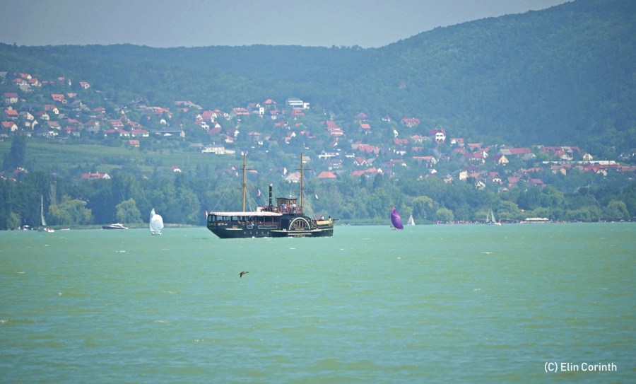 Schaufelraddampfer_Tihany