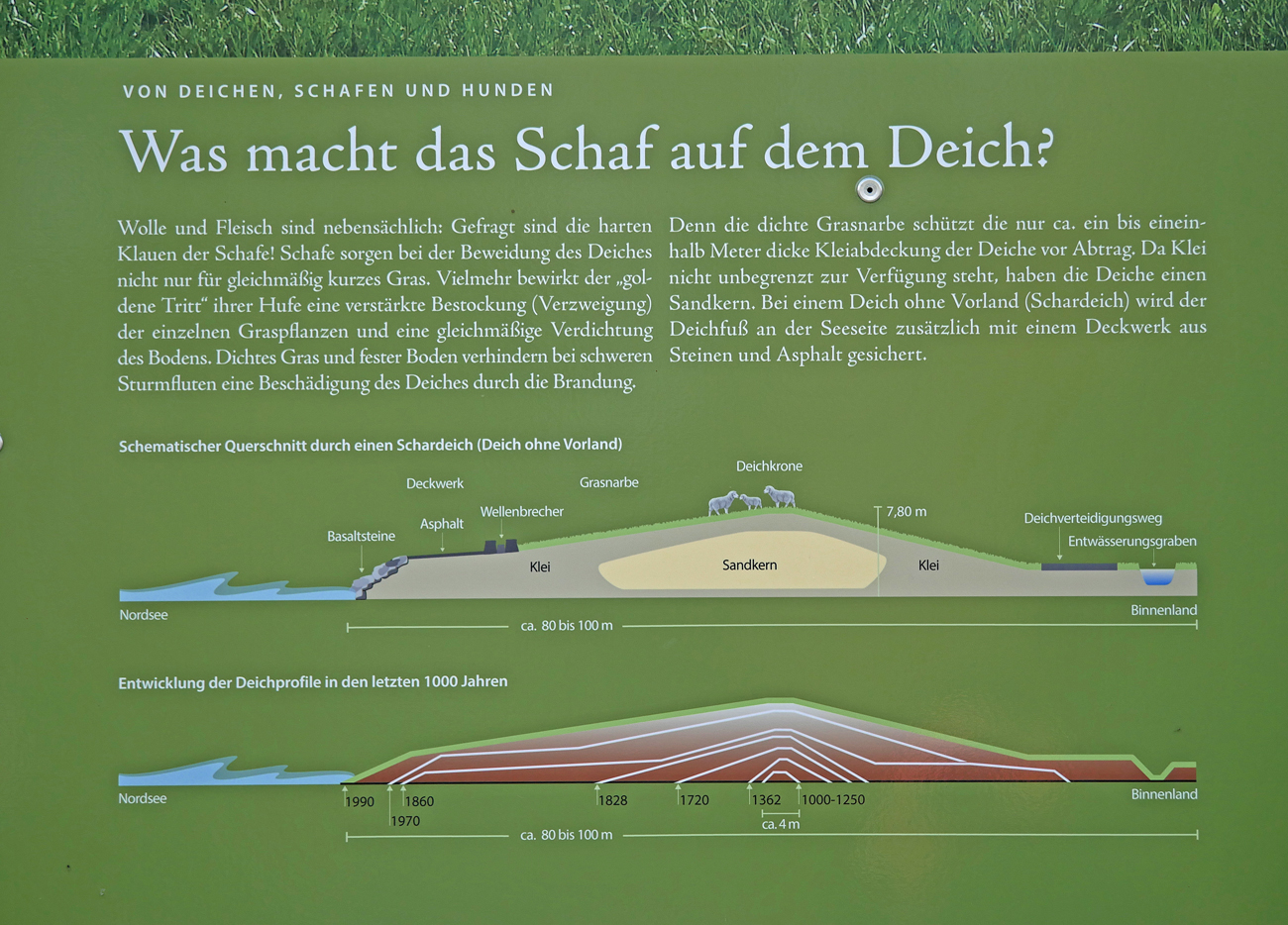 Aufbau eines Deiches Infotafel Utlandshoern