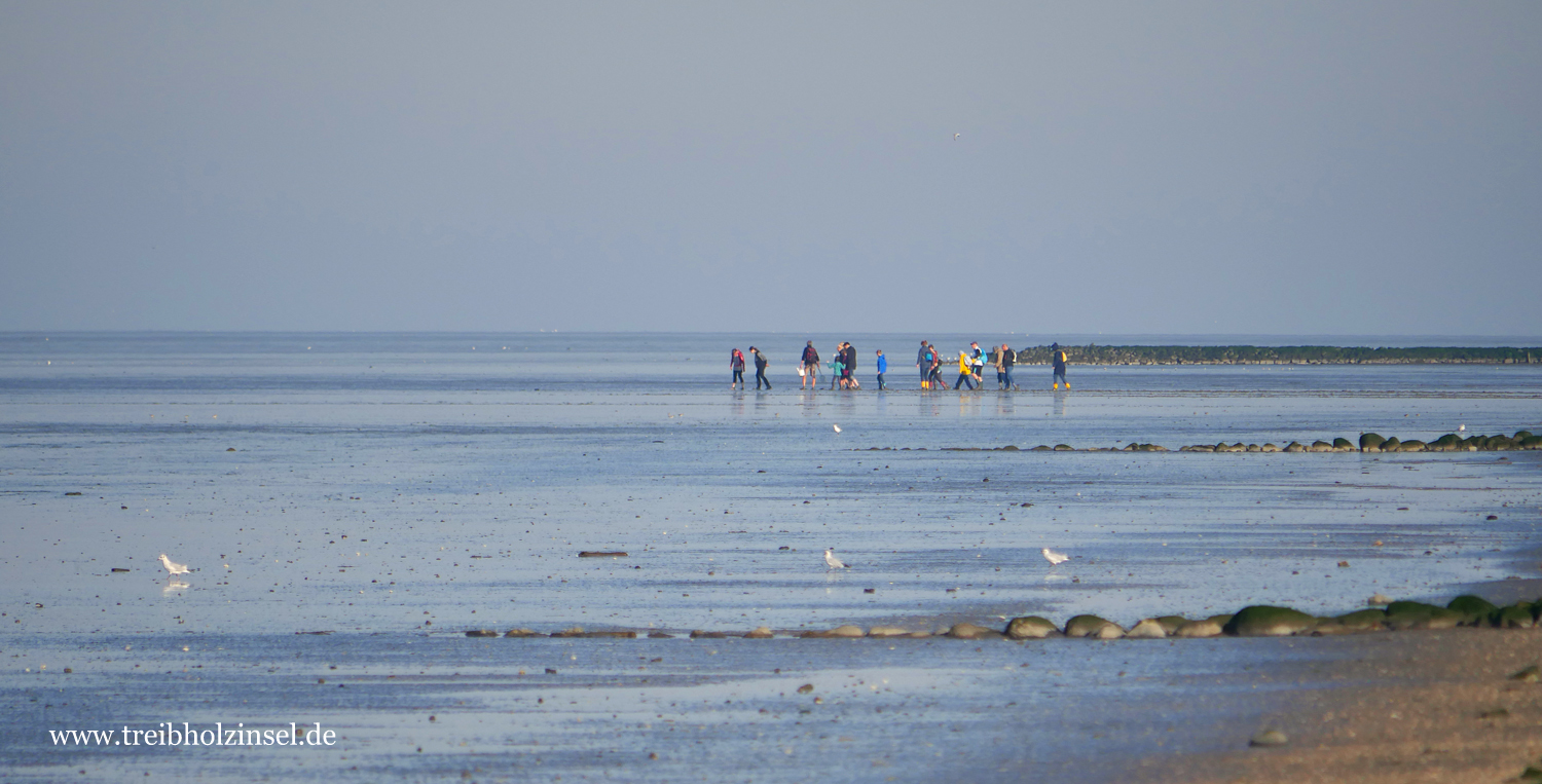 Aufbruch zur Wattwanderung