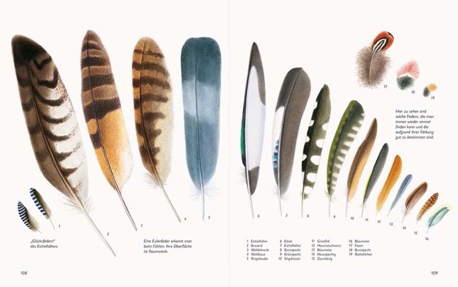 Naturbuch_Federn_108-109